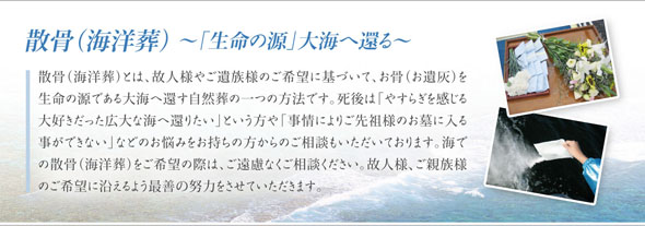 �U���i�C�m���j�����̊C�֋A��